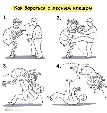 0710d5e589a1.jpg